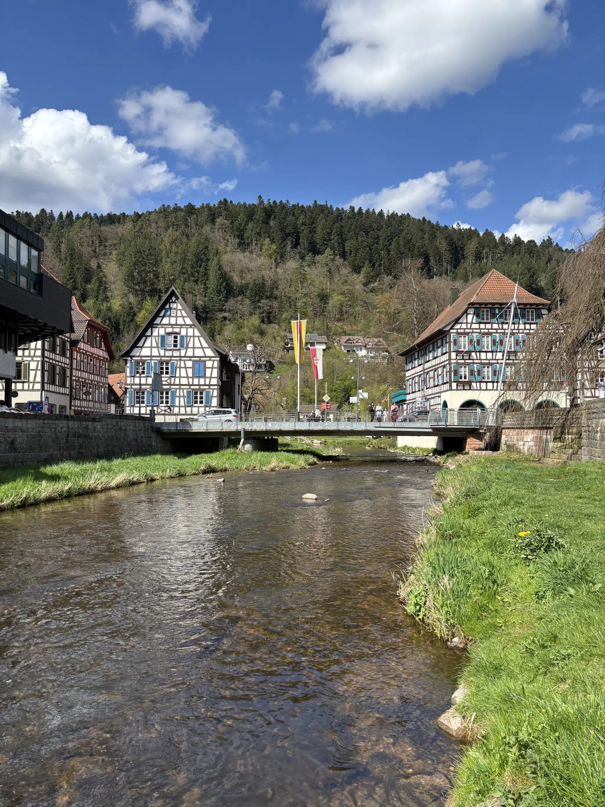 Schwarzwald
